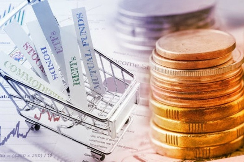 Vietnamese enterprises urged to go global as investment laws evolve