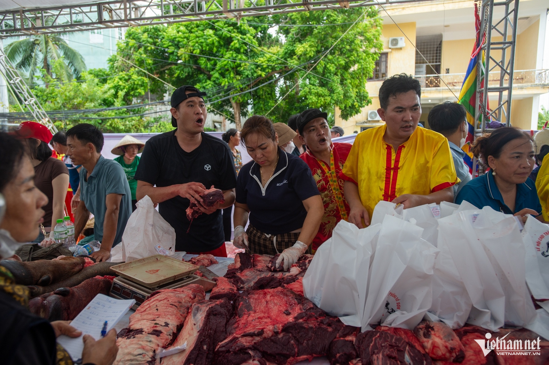 buffalo fighting.jpeg