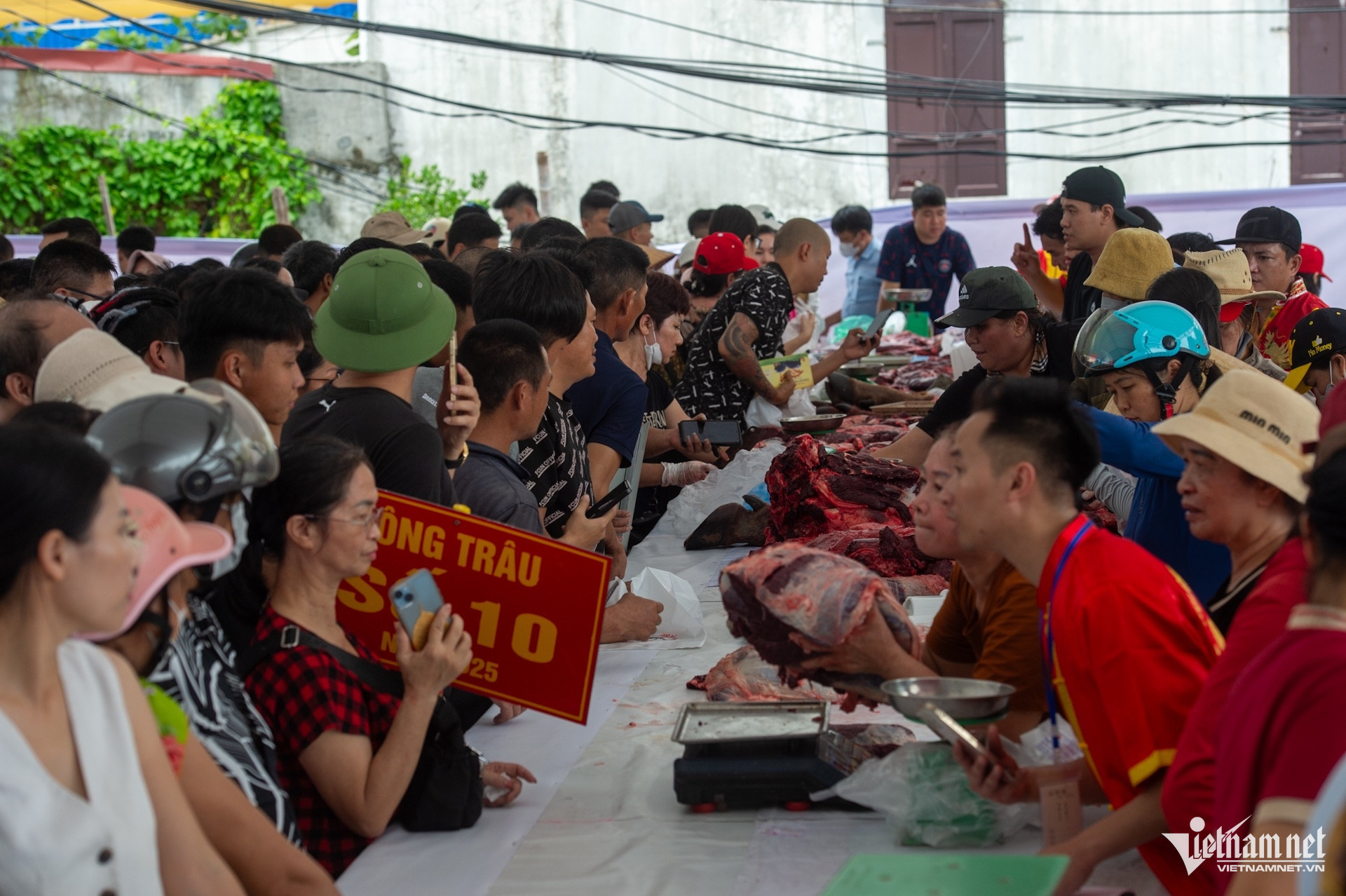 buffalo fighting3.jpeg