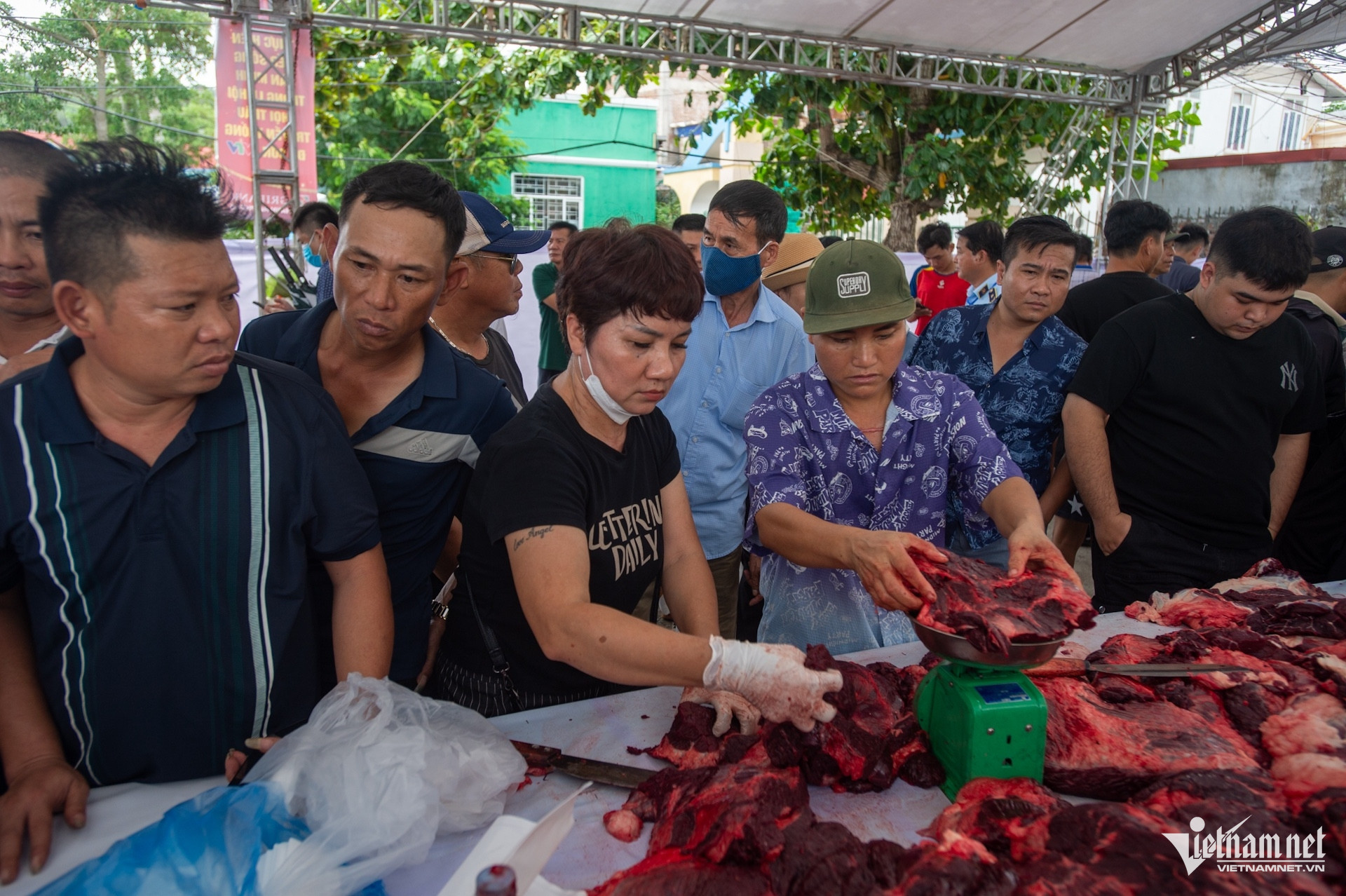 buffalo fighting4.jpeg