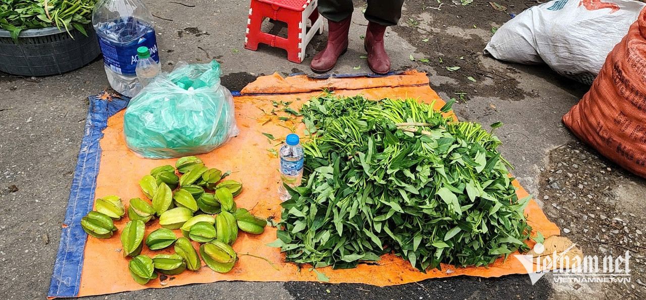 buffalo fighting6.jpeg