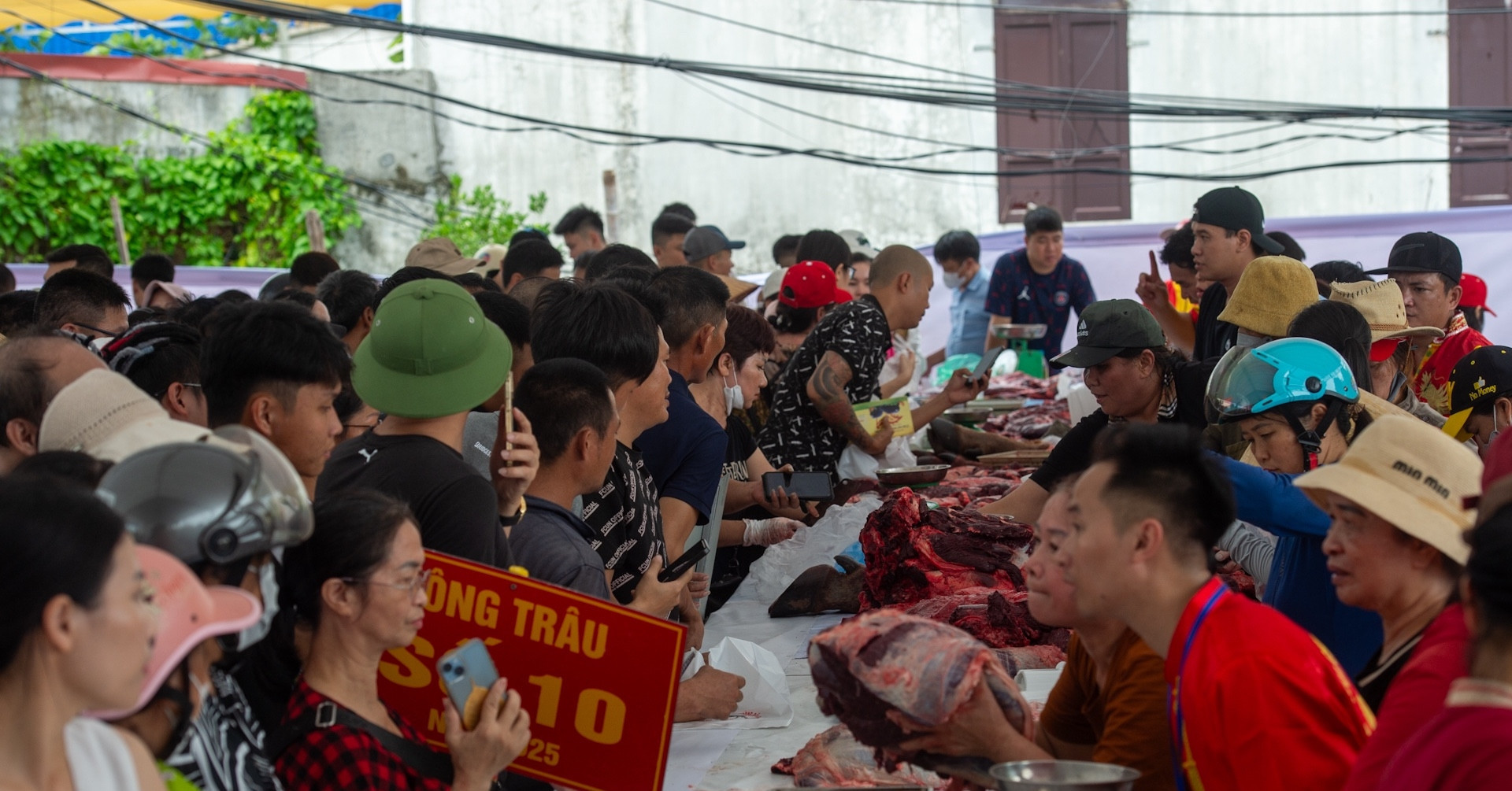 Buffalo meat at Do Son festival fetches $200/kg, buyers still rush in