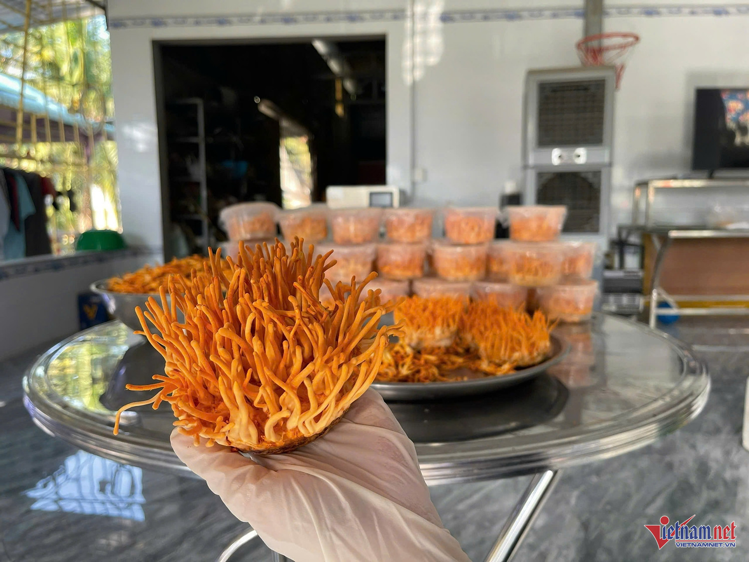 W-chị Nương 2.jpg