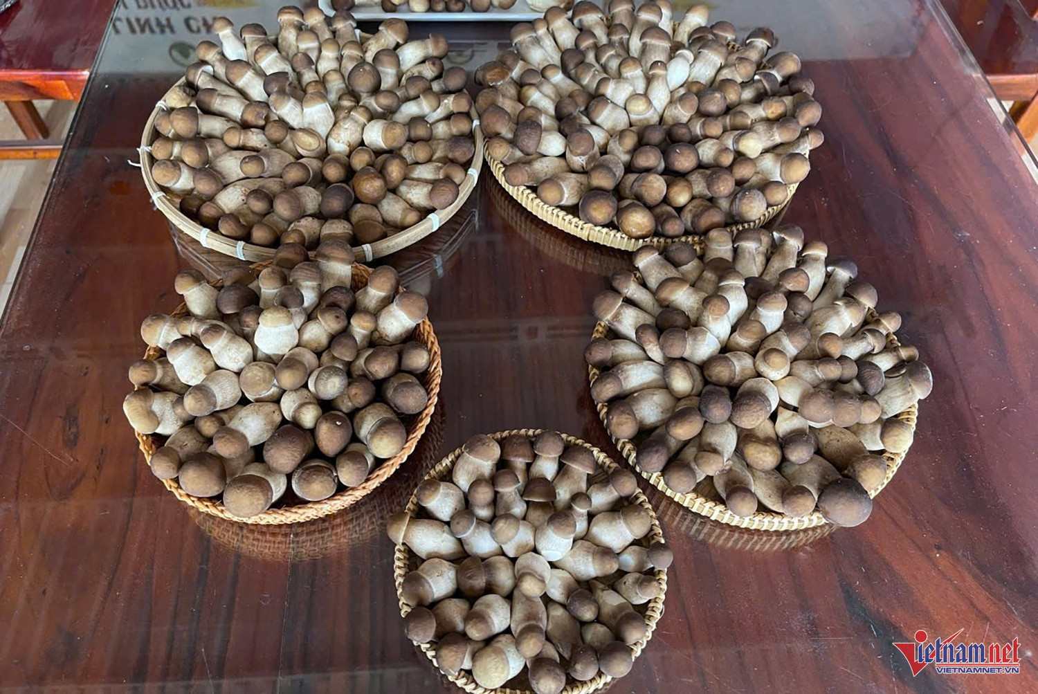 W-chị Nương 1.jpg