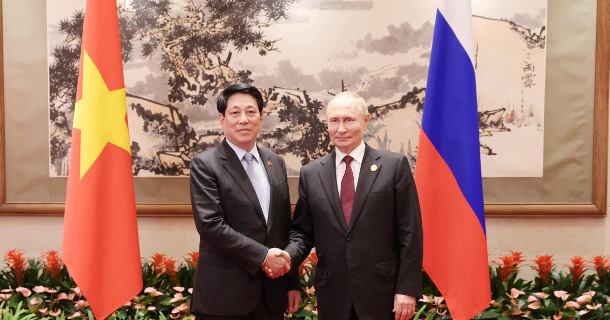 Vietnamese State leader meets Russian President in China
