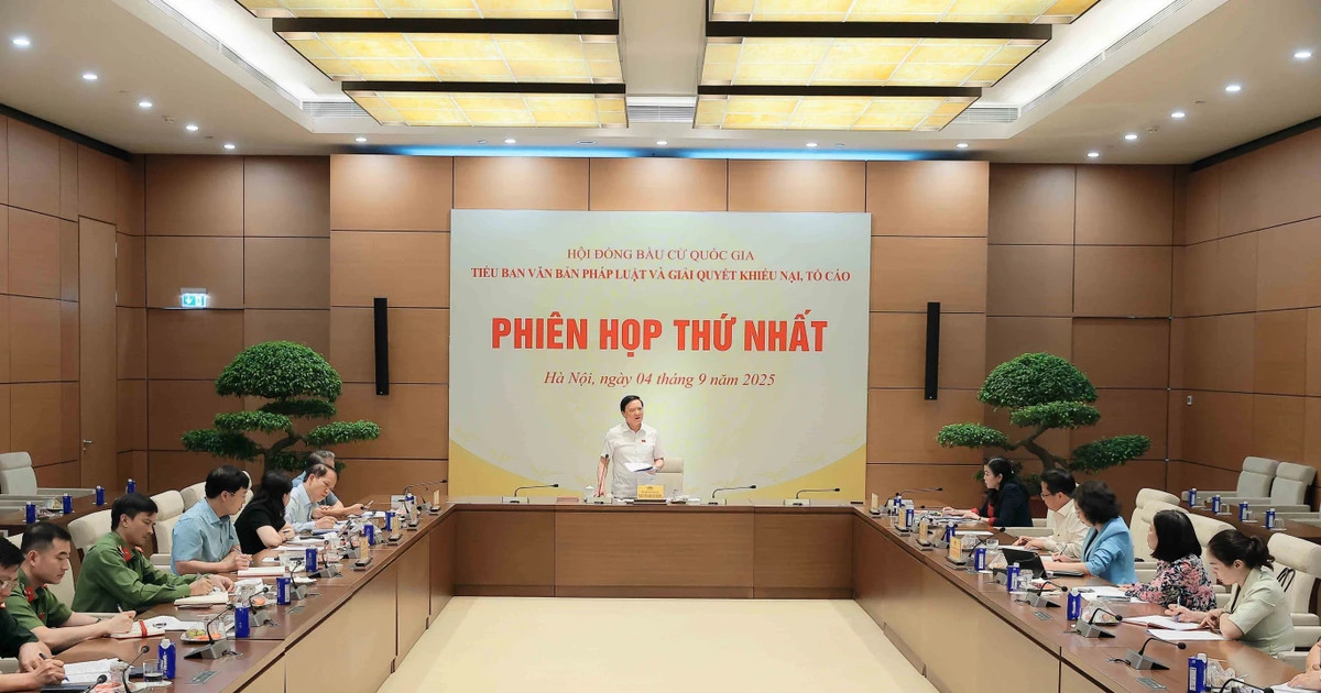 Election Council subcommittee on legal issues, complaints holds first meeting