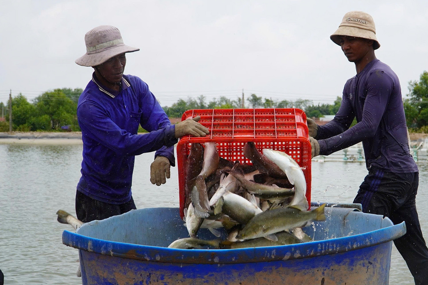 Farmer built major seafood export business from scratch over last 15 years