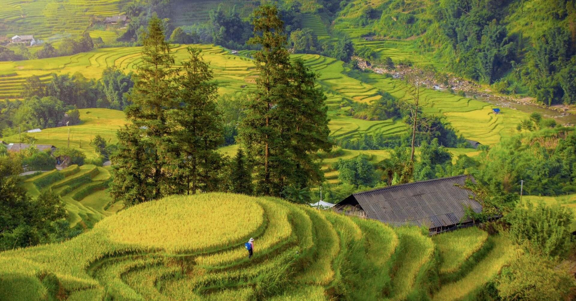 Where to go in Northern Vietnam for scenic nature and quiet