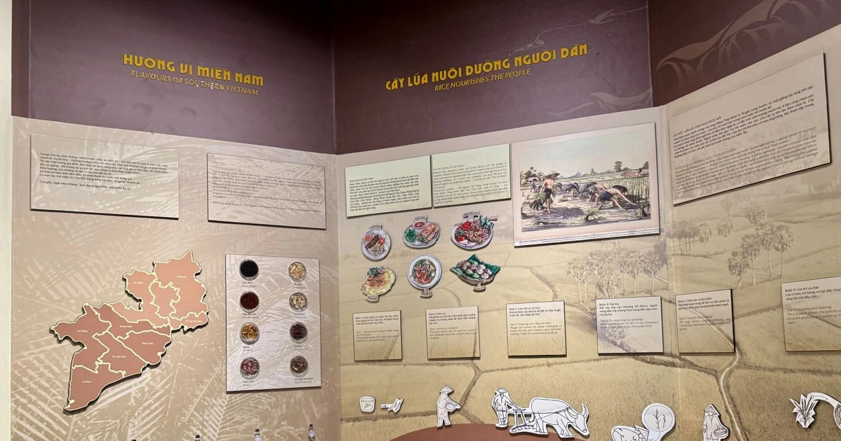 Exhibition showcases southern Vietnam’s wartime cuisine