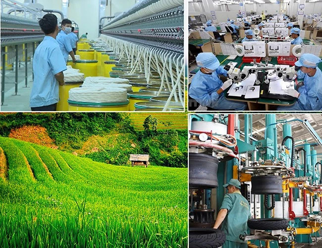 Vietnam’s green horizon: A 2025-2030 plan for environmental industry