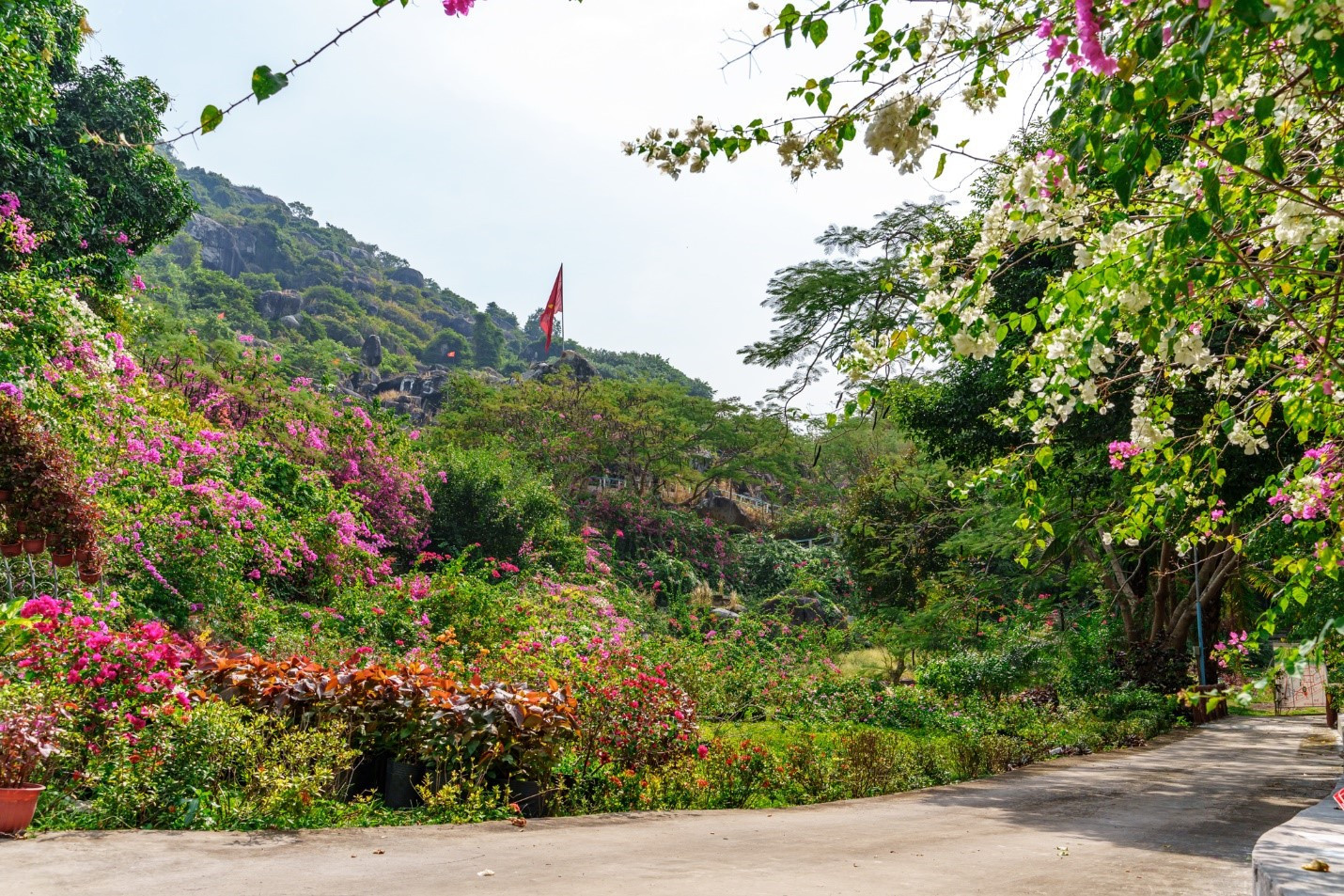 Vietnam’s living monument: The undying song of Tuc Dup