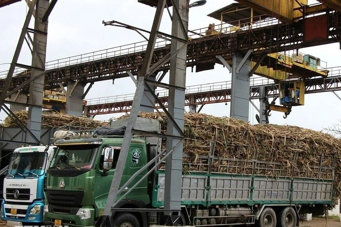 Vietnam’s sugar productivity maintains top regional spot