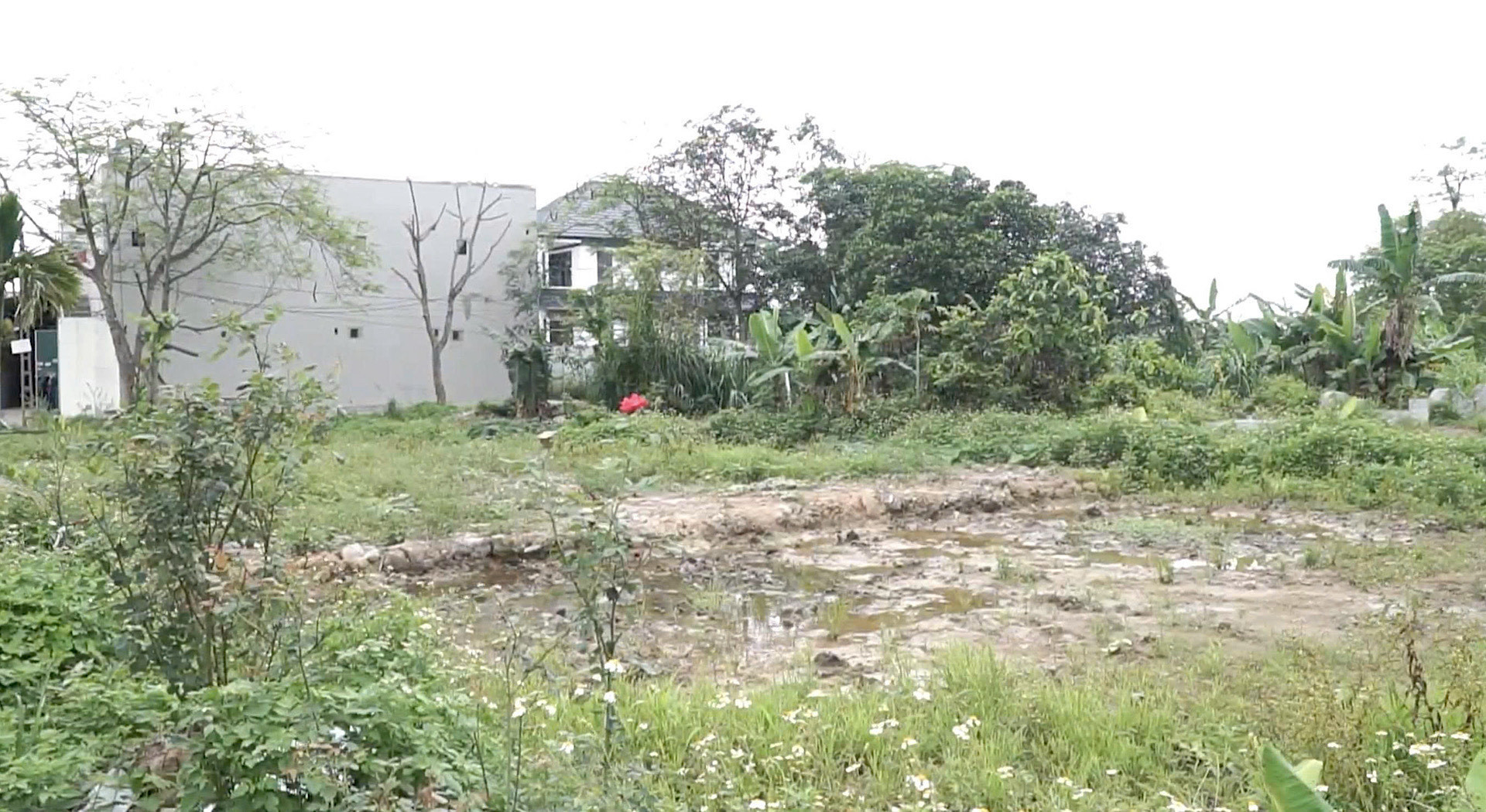 image_123650291 (7).JPG