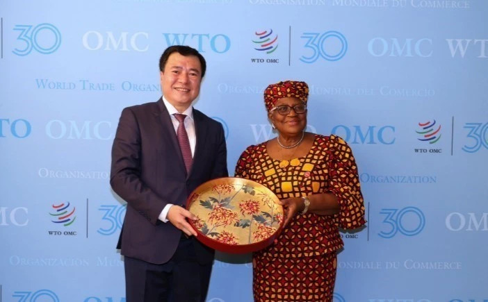 Vietnam supports WTO’s reform process: deputy trade minister