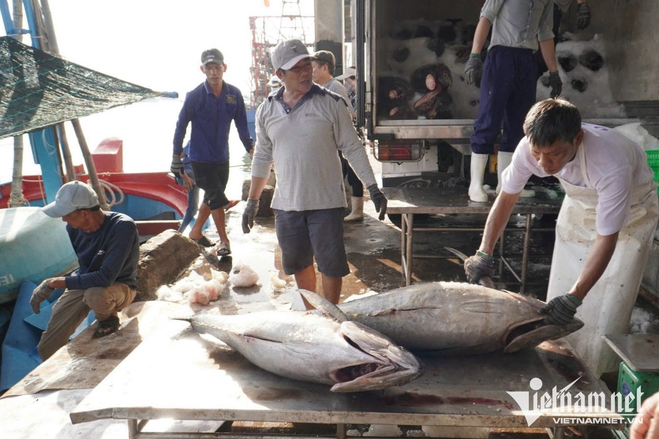 Three major powers pour money into Vietnam’s seafood in 2025