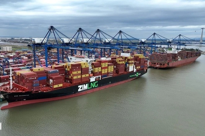 Nearly 500 containers of Vietnamese tea released from Pakistan’s Karachi Port