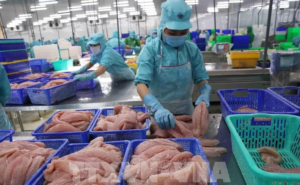 Vietnam records biggest trade surplus with Netherlands among European partners