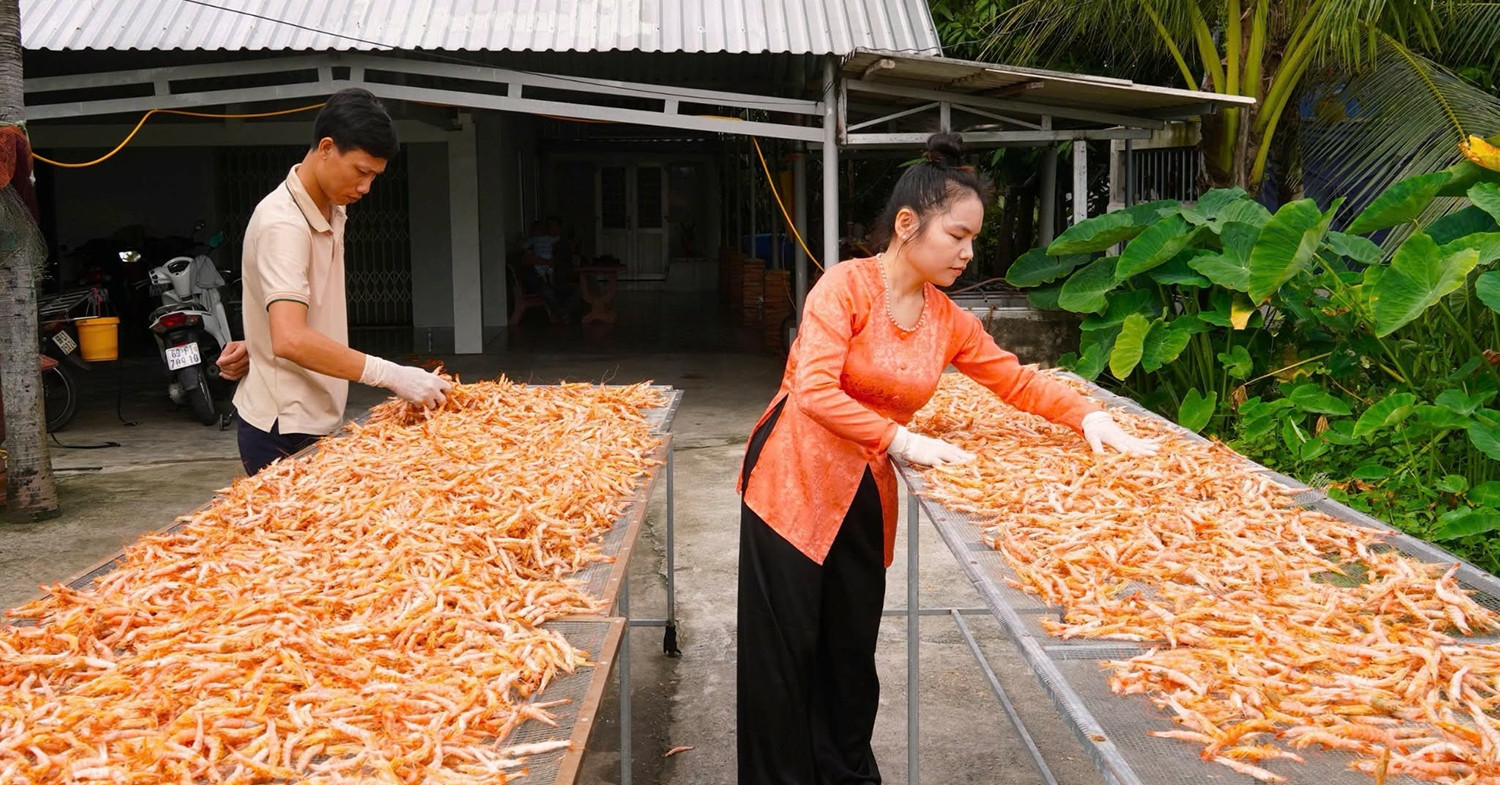 In Ca Mau, a claw-shaped dried shrimp is making waves as a luxurious Tet gift