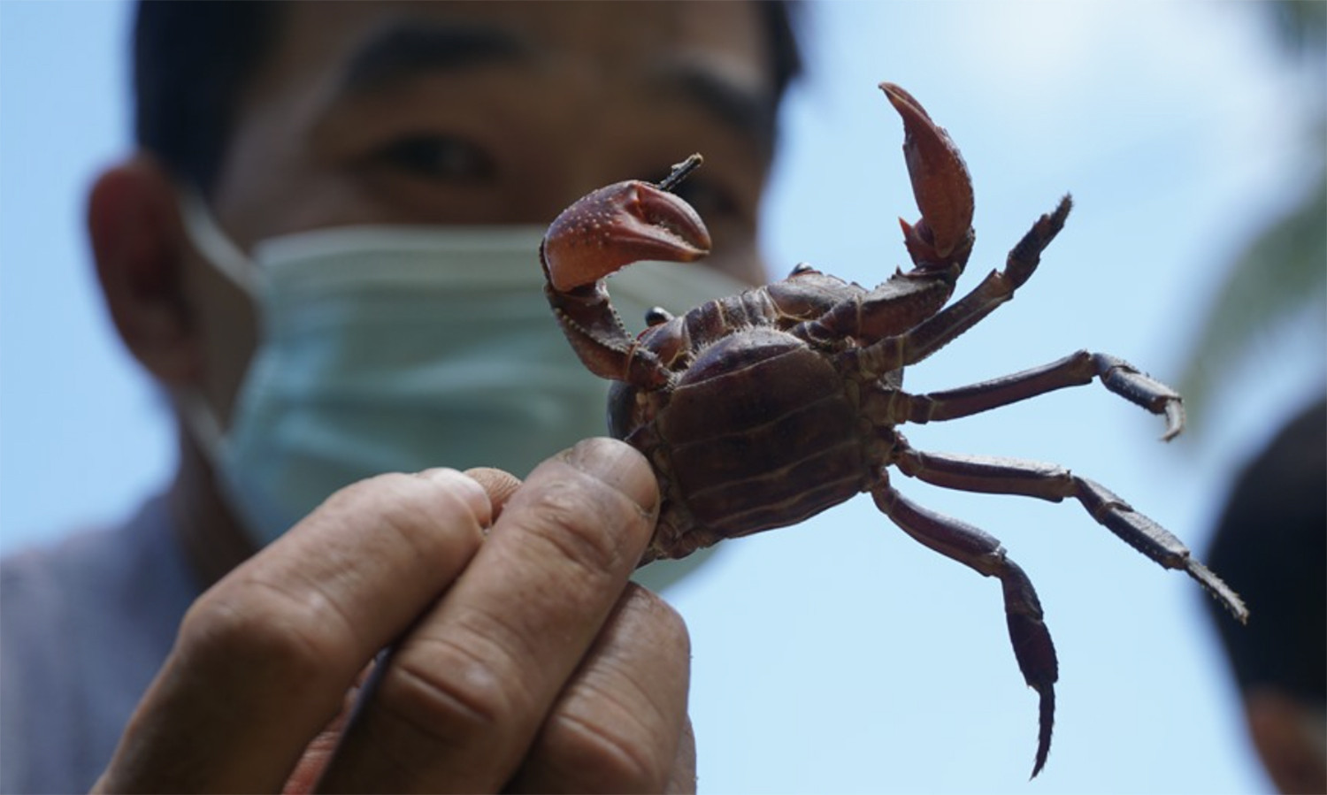 cua núi cấm 1.jpg