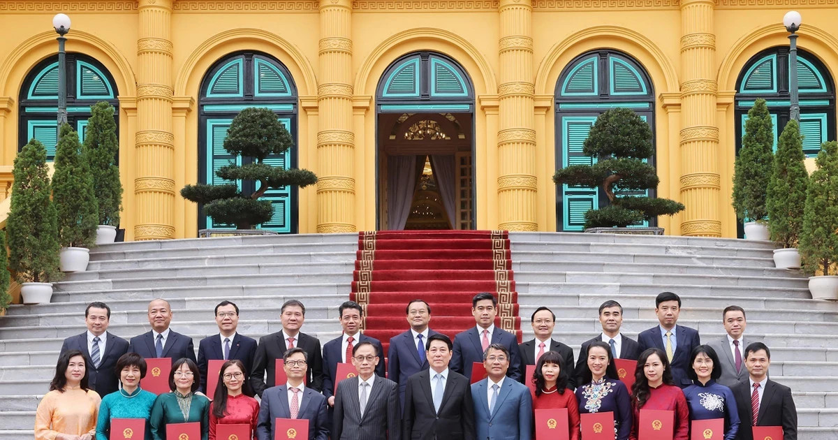 State President appoints new ambassadors abroad