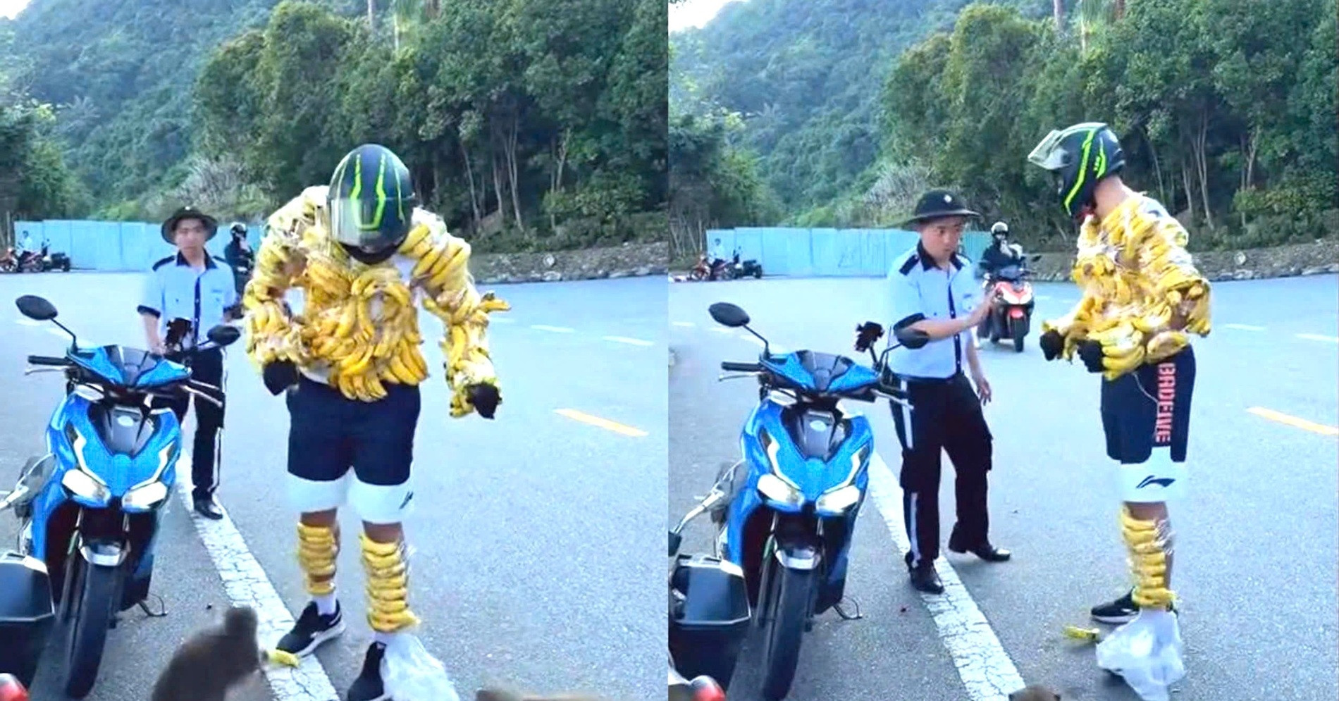 Tourist covers body with bananas to ‘tease’ monkeys in Son Tra