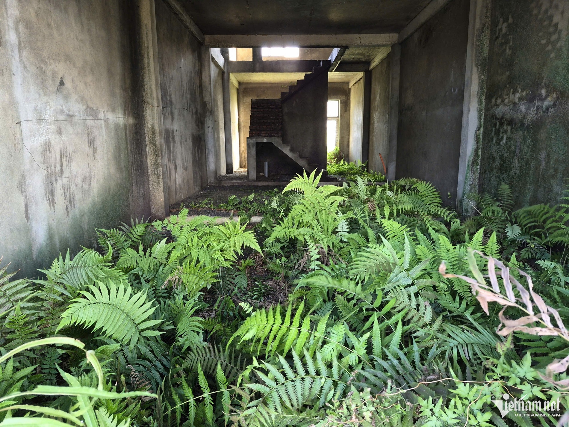 abandoned project da nang10.jpg