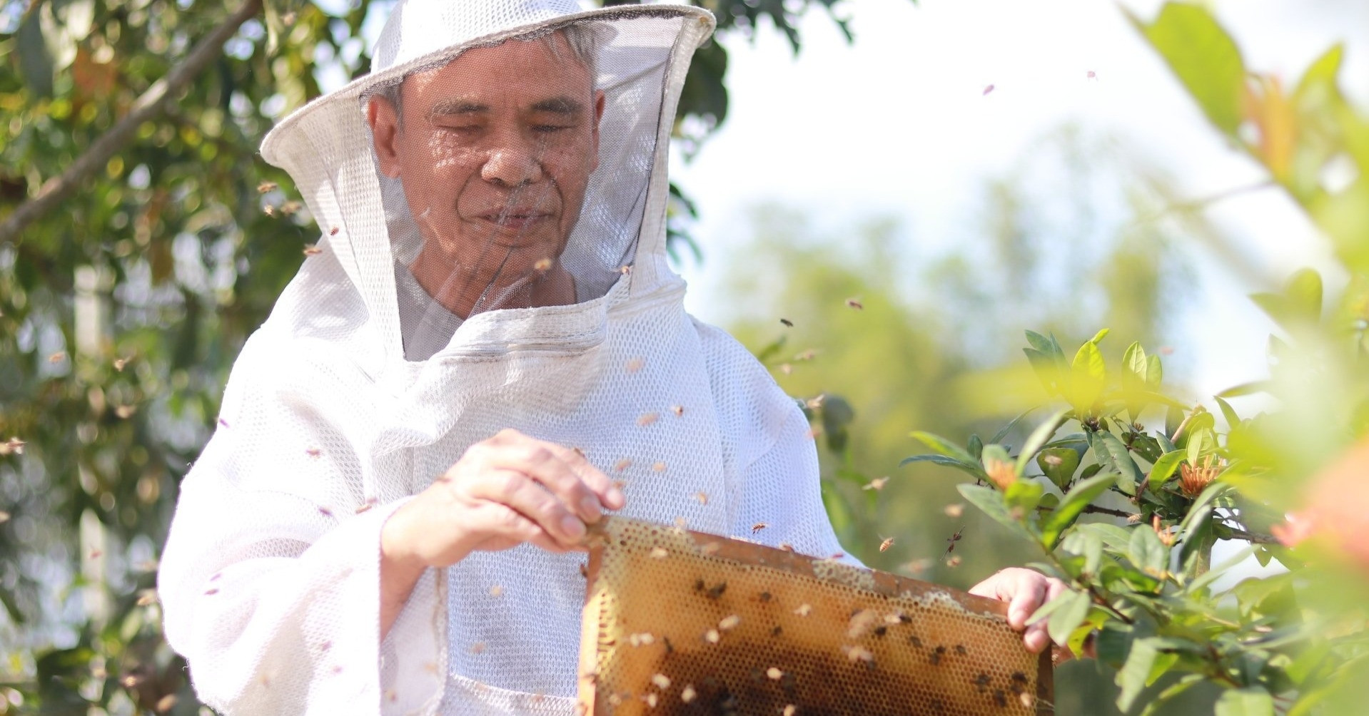 Blind man’s extraordinary journey beekeeping in Vietnam’s remote mountains