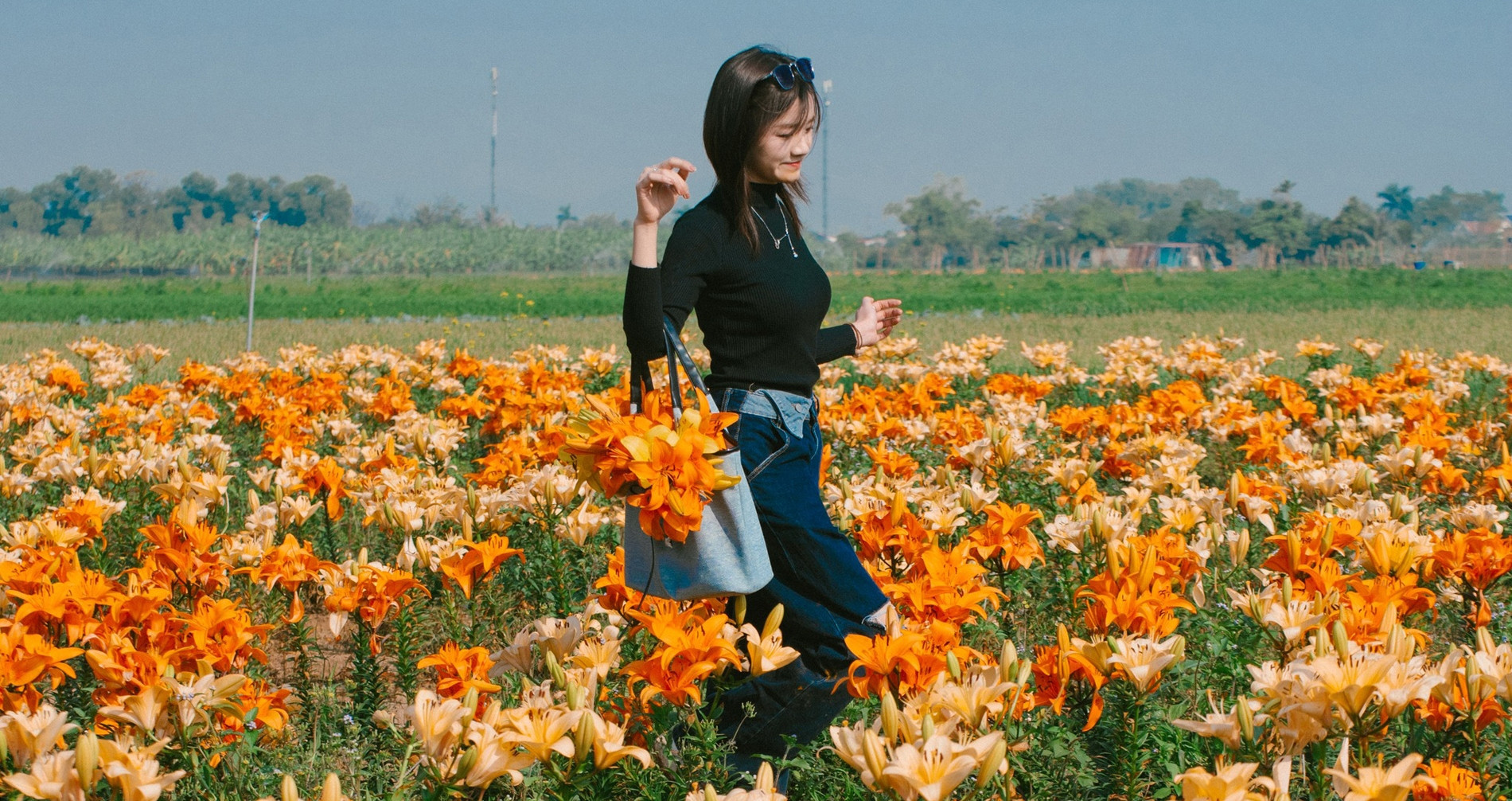 Breathtaking lily fields by the river become Hai Phong’s newest check-in gem