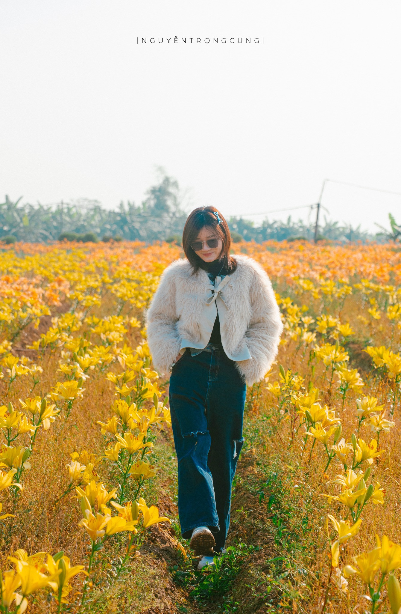 hai phong flowers4.jpg