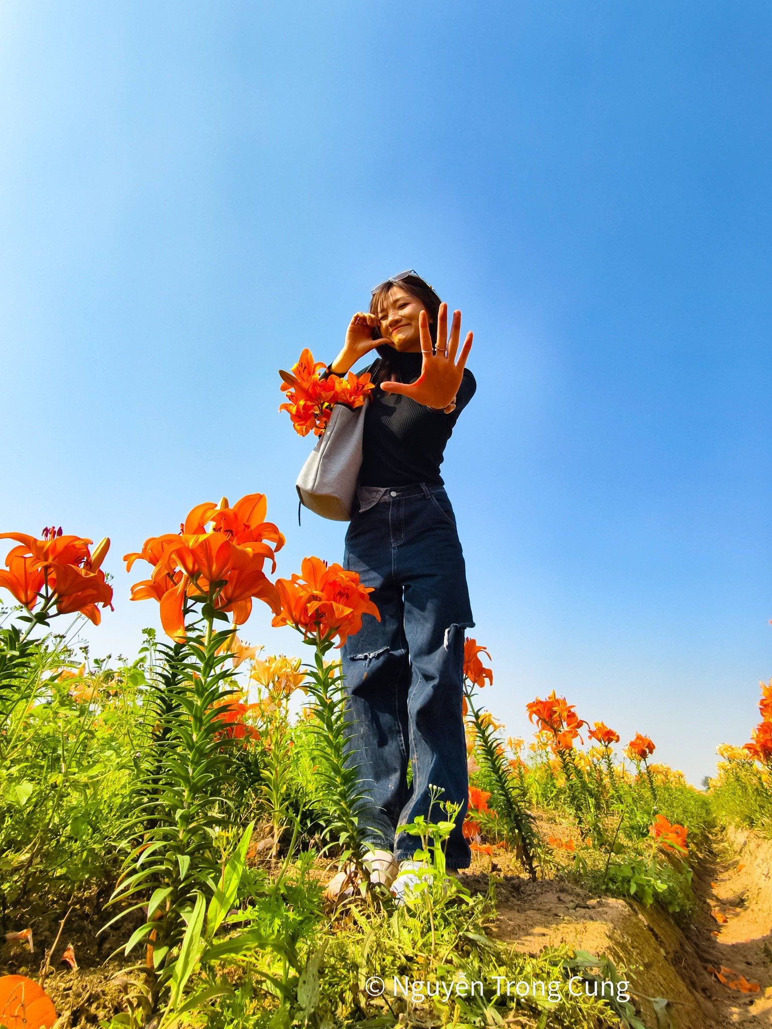 hai phong flowers5.jpg