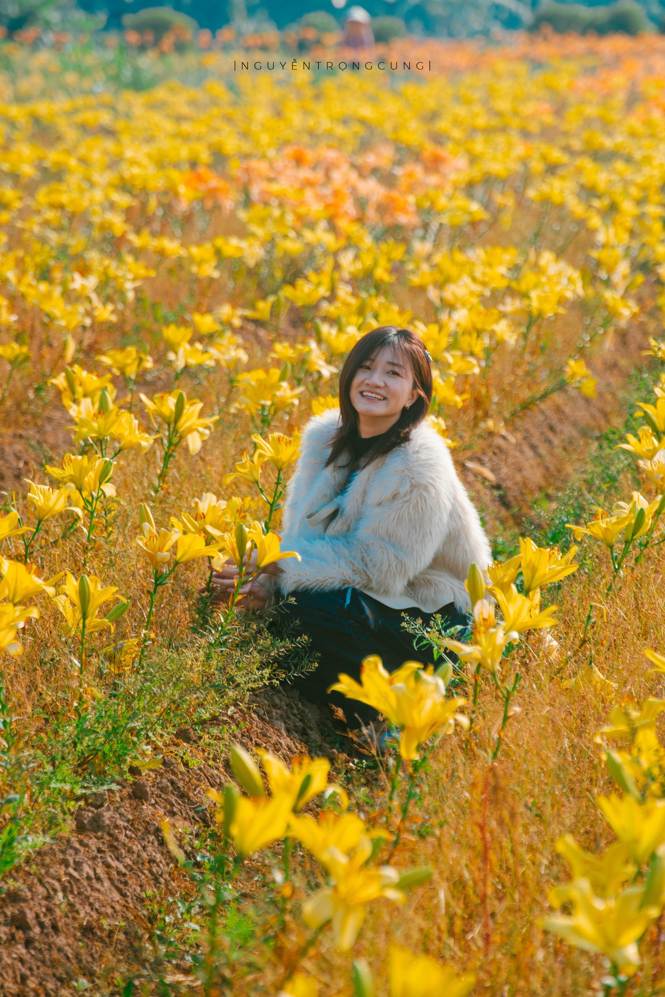 hai phong flowers6.jpg