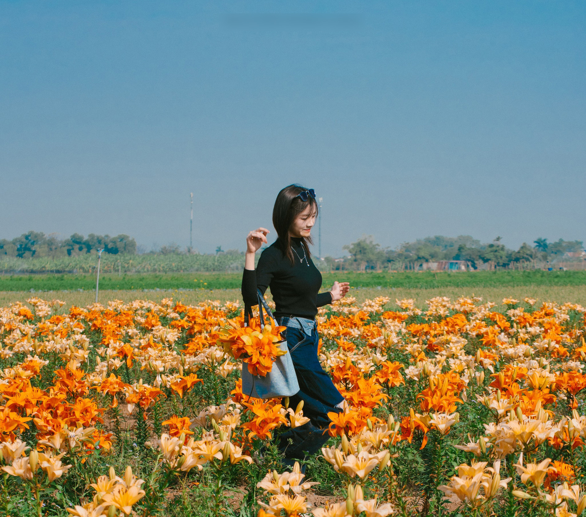 hai phong flowers7.jpg