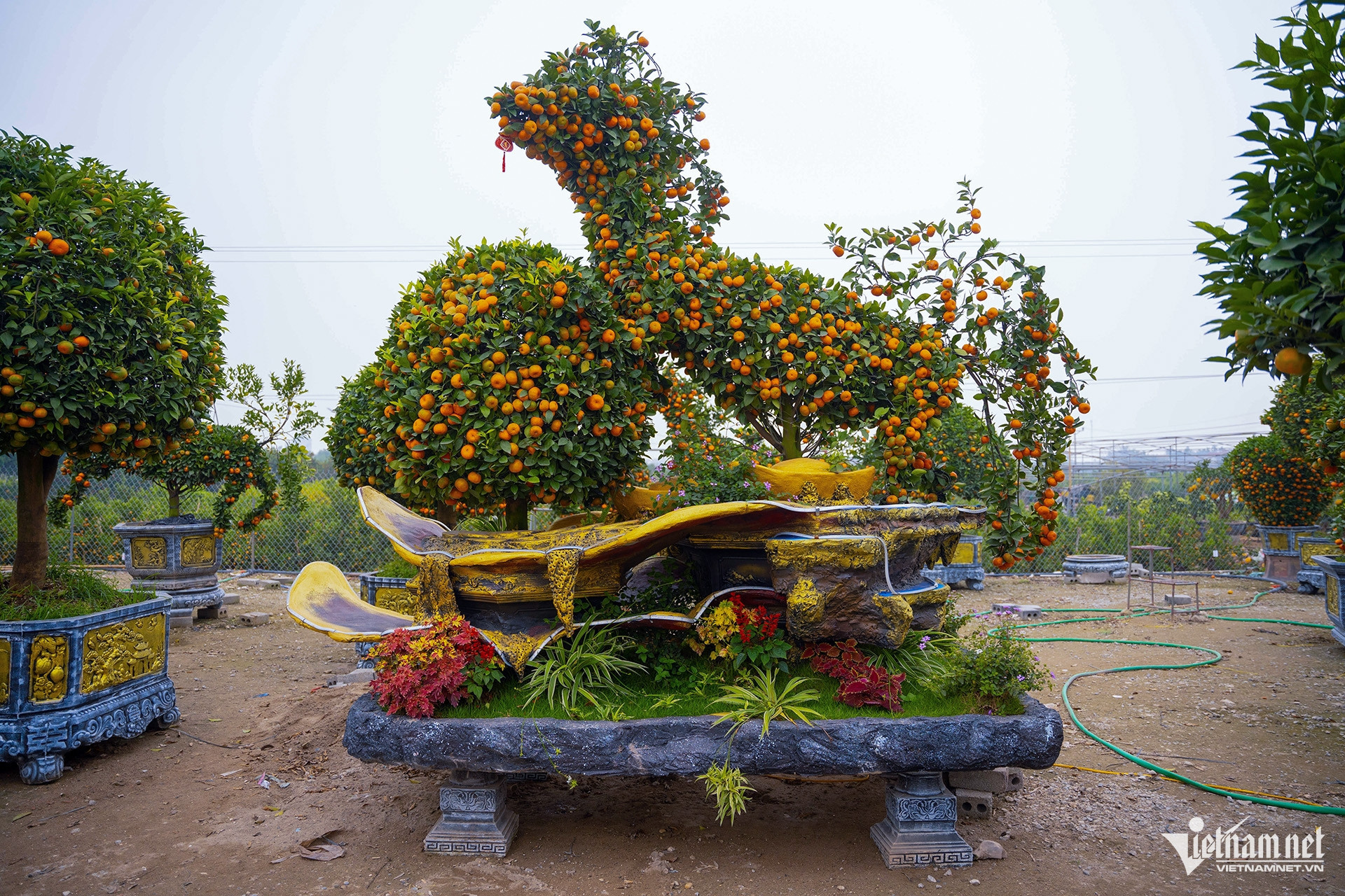 ornamental trees.jpg