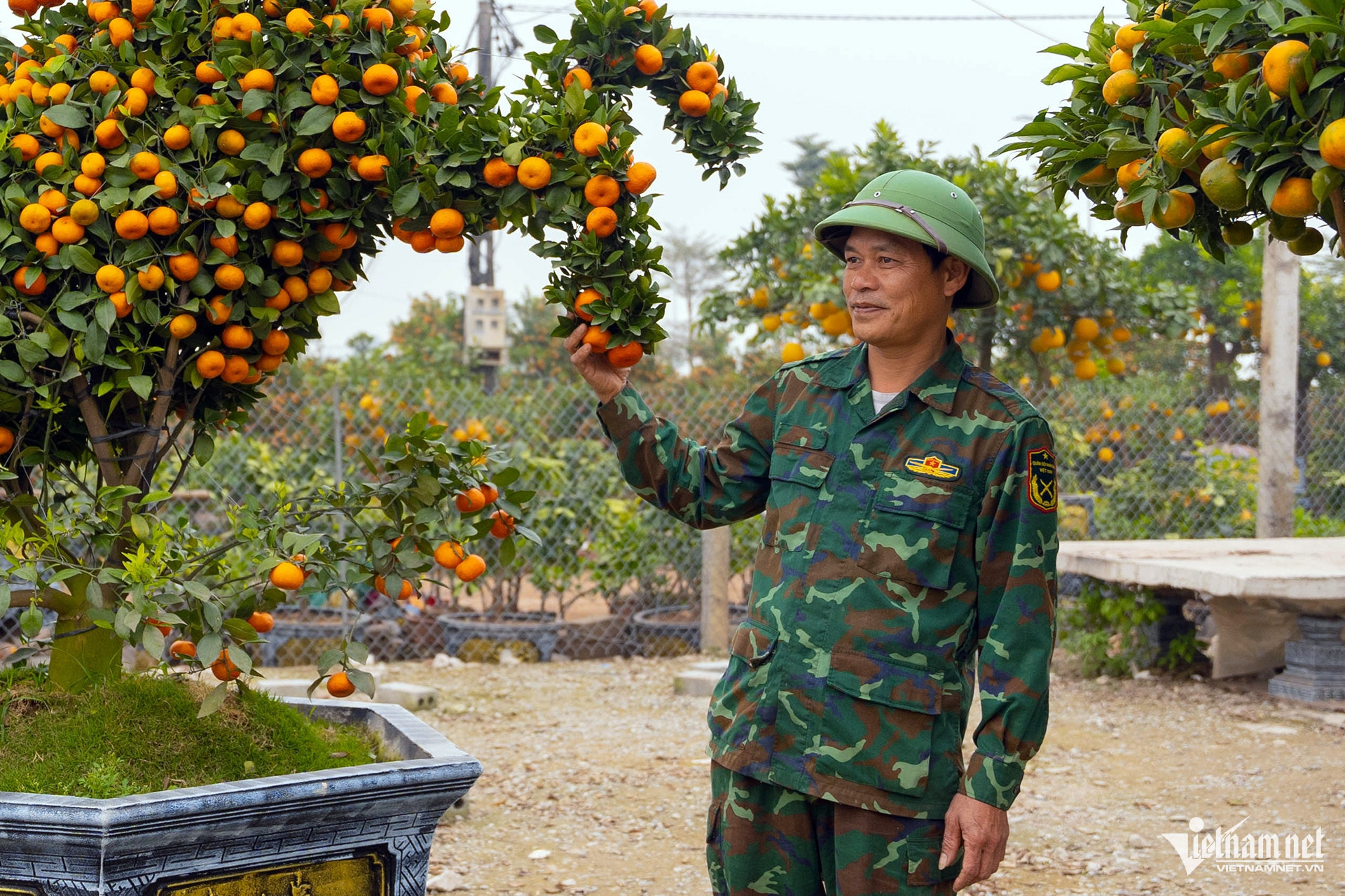 ornamental trees3.jpg