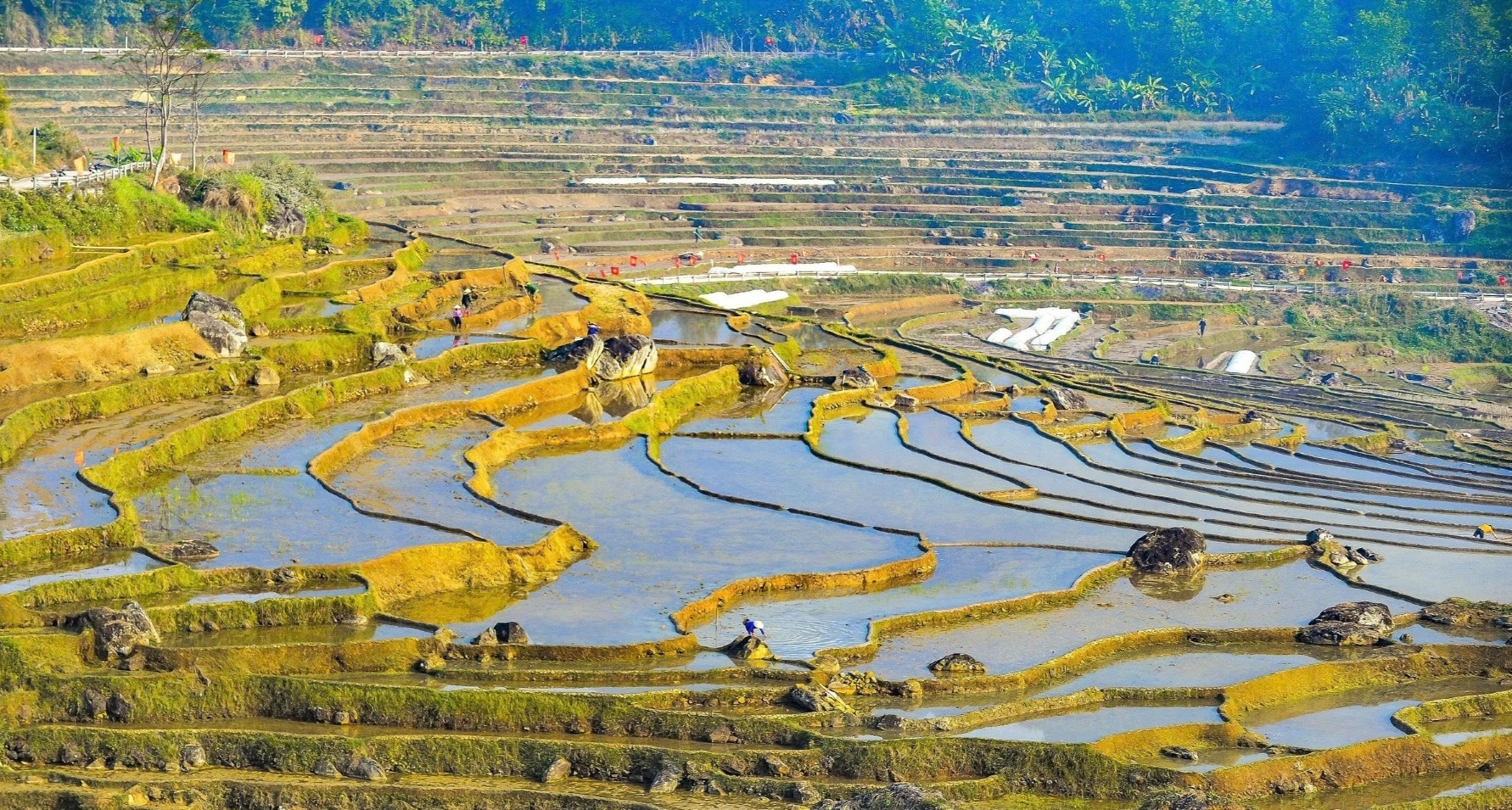 Pu Luong’s mirror-like terraces enchant international travelers