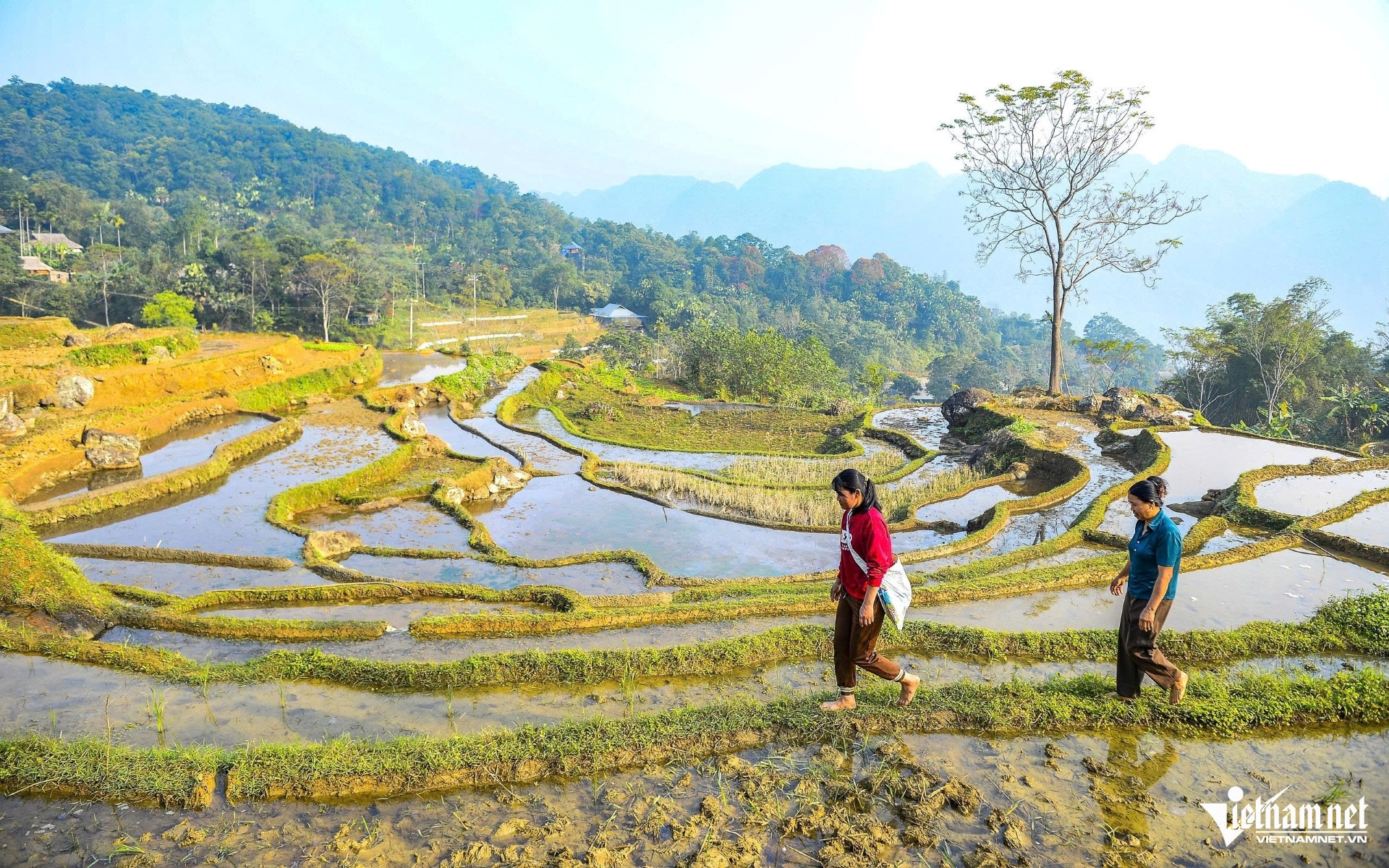 vietnam tourism2.jpg