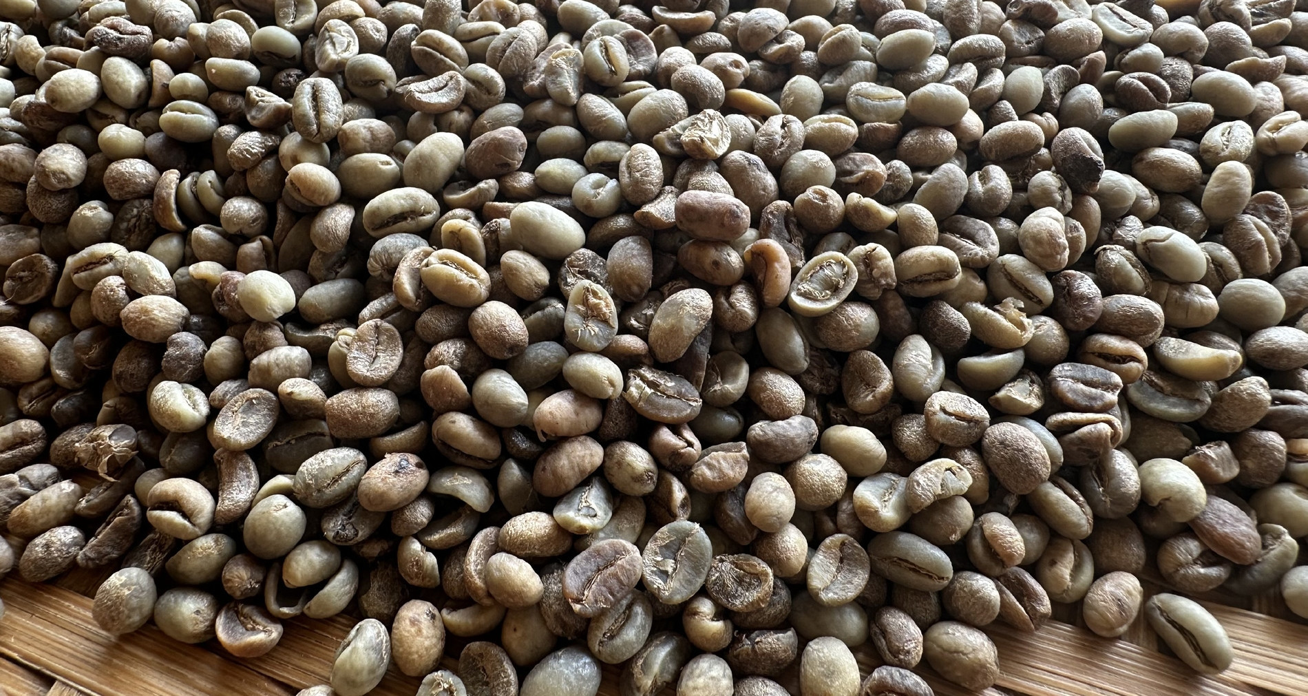 Vietnam’s coffee export hits $433 million in just 15 days