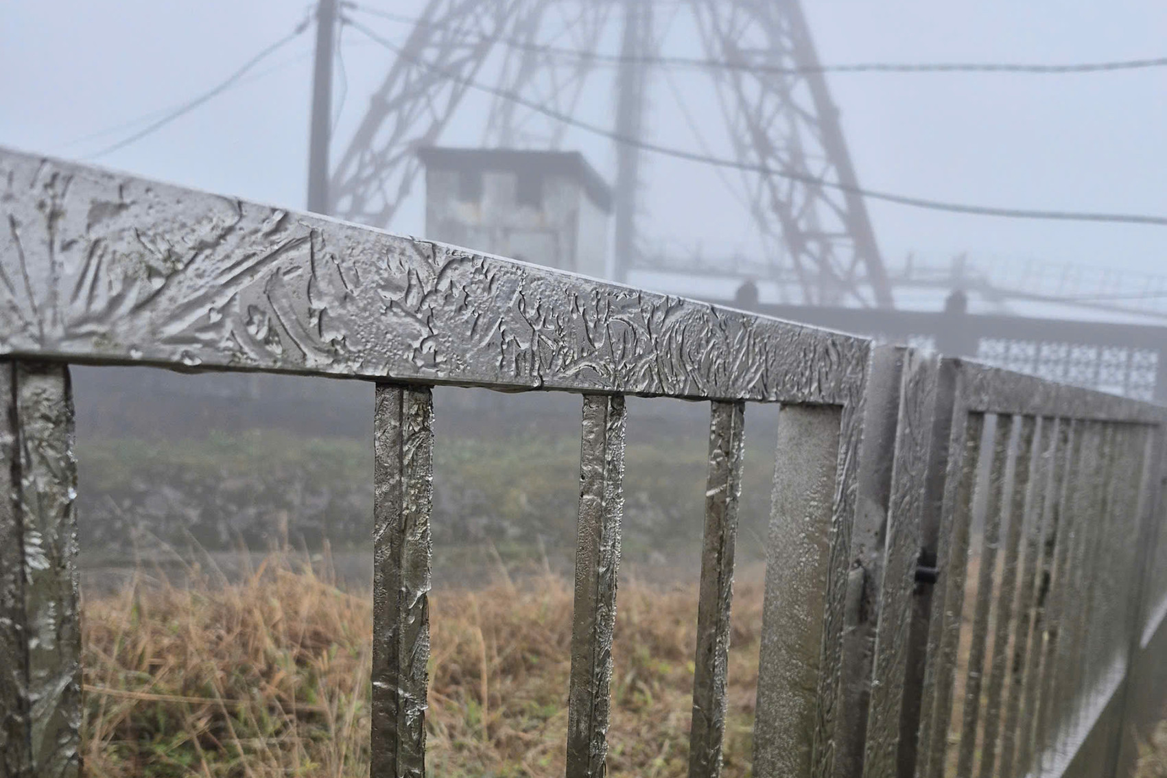 a20489a9 6cf1 417b b6b3 f56a9edb67f4.jpeg