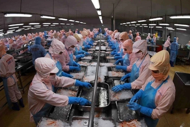 Vietnam remains Singapore’s third-largest seafood supplier in 2025