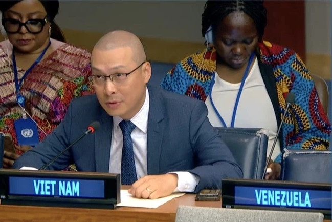 Vietnam supports UN Security Council’s substantive reform