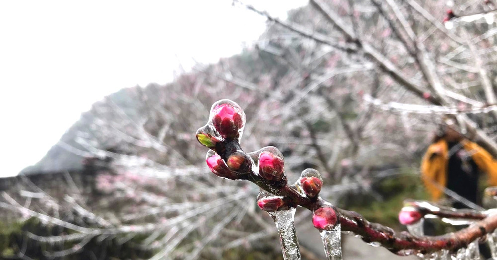 Vietnam’s north endures coldest spell of 2025–2026 winter