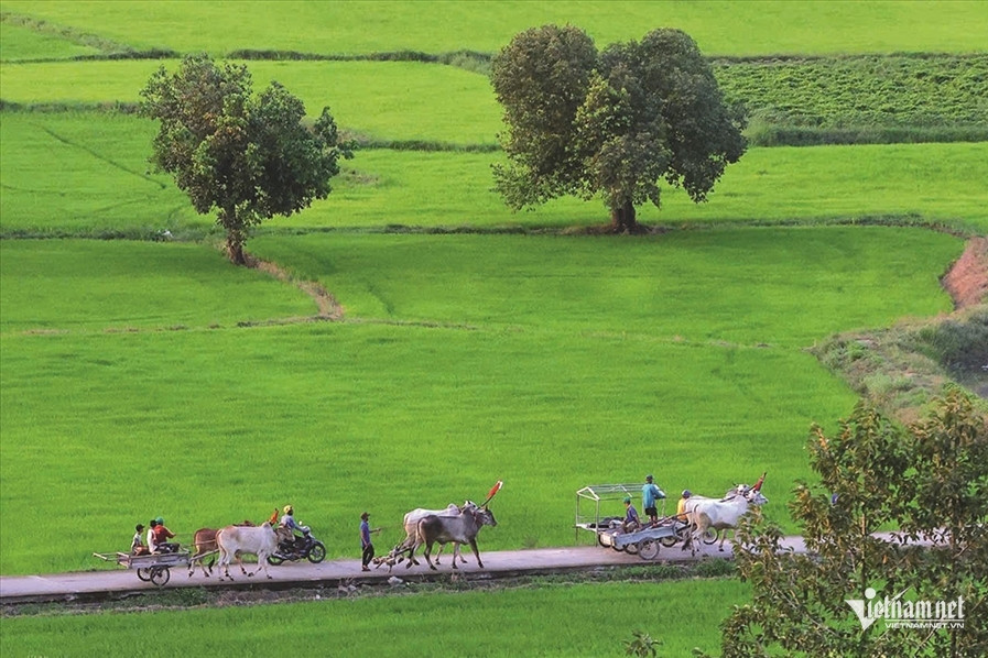 National Target Program 1719 drives livelihoods for Khmer communities