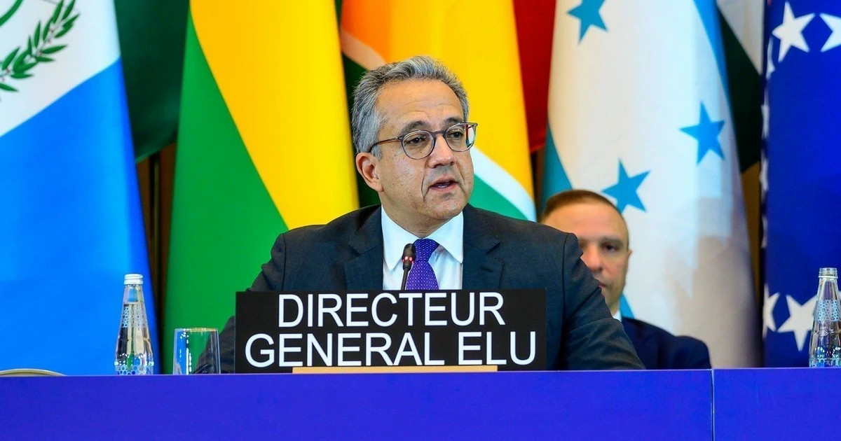 UNESCO provides emergency support to VN to safeguard cultural heritage