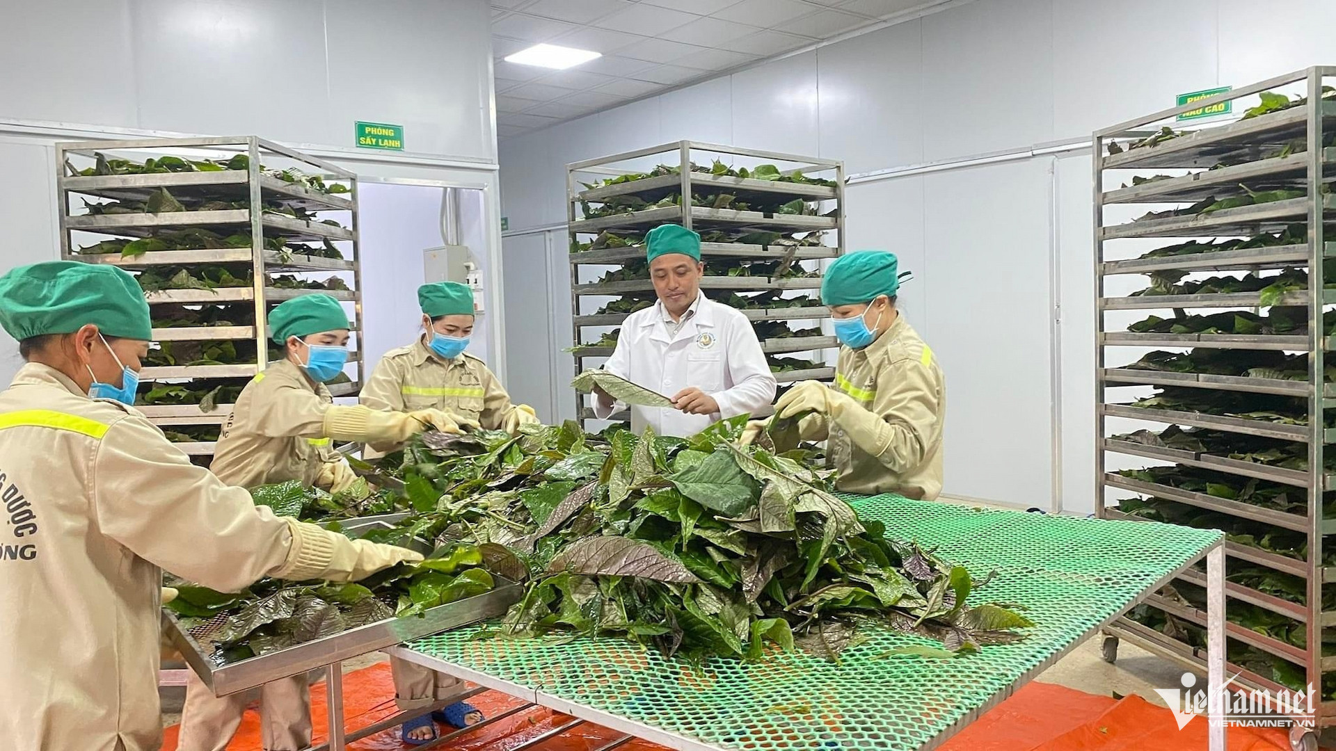 w kiem tra san pham la khoi truoc khi che bien 1 3087.jpg