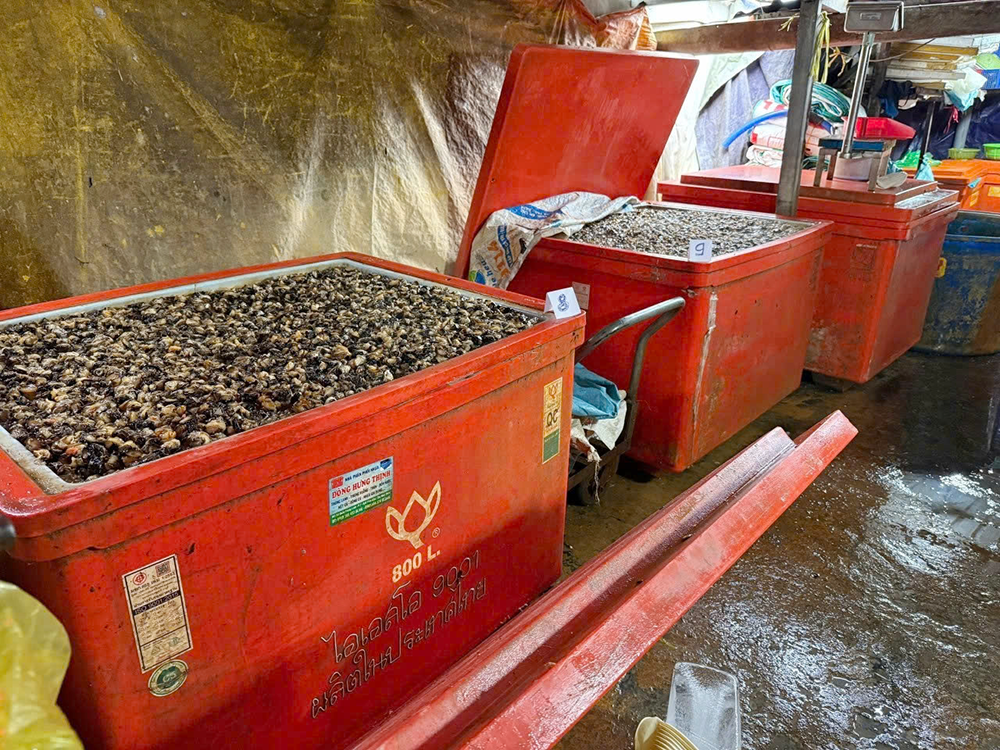 oc ngam hoa chat 3.png