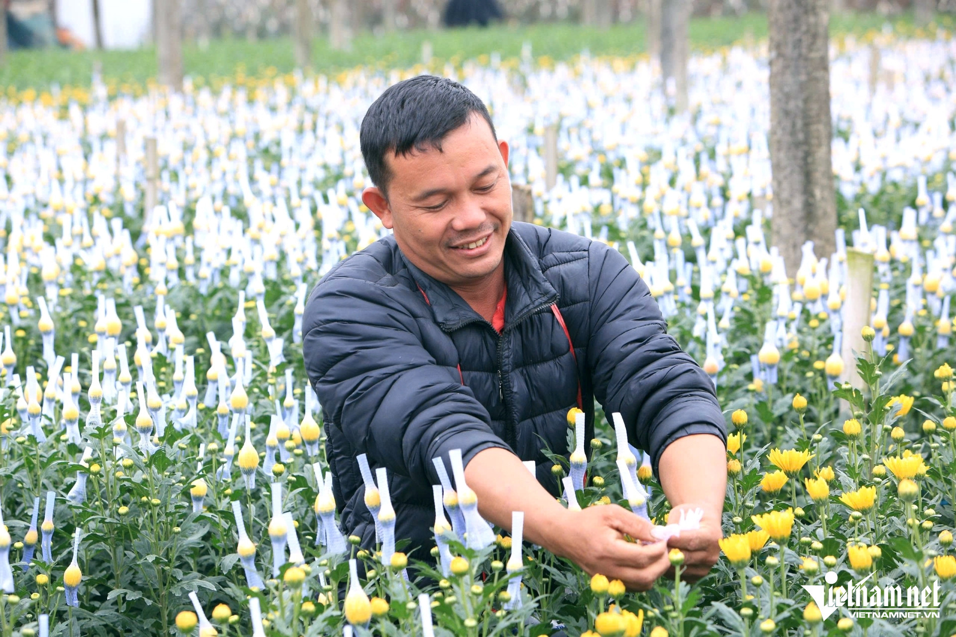 flower villlage1.jpg