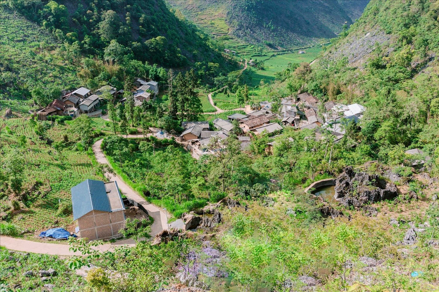 VN’s poverty reduction strategy embraces sustainability and digital inclusion