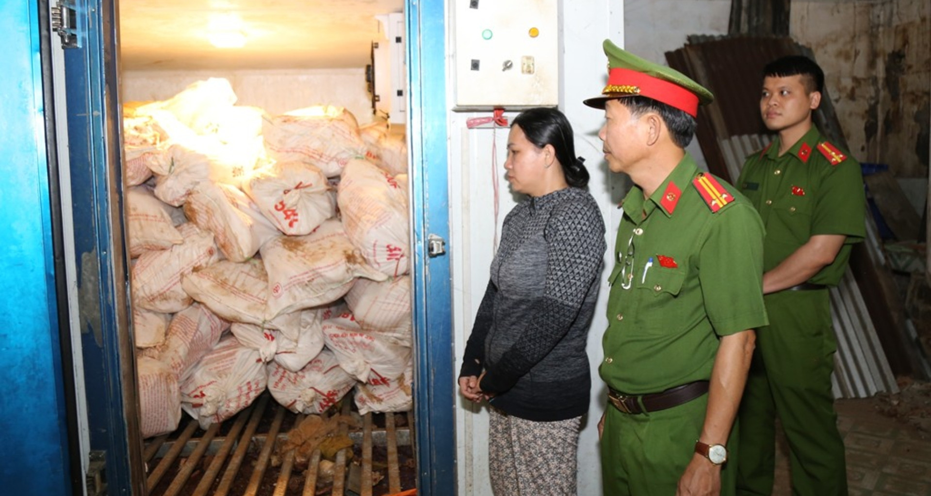 12 tons of diseased pork destined for market intercepted in Dong Nai