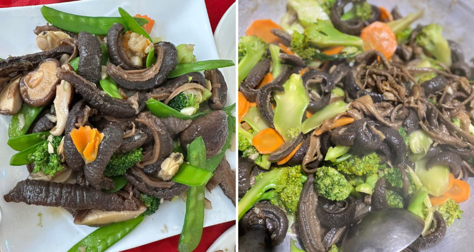 Quang Ninh’s ‘heaven-sent’ sea cucumber stuns visitors with its odd charm