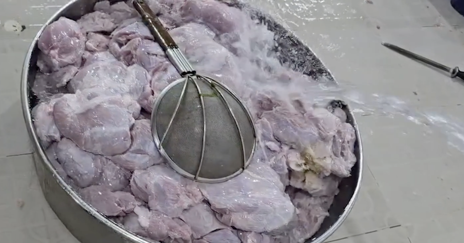 Sago Food’s past and present questioned as HCM City schools suspend lunches